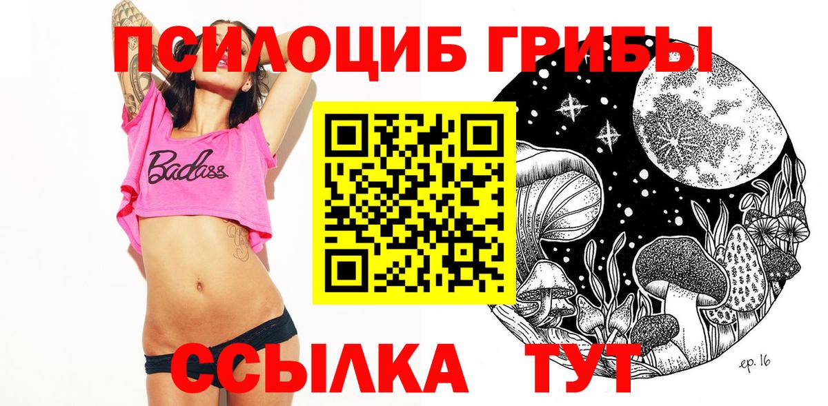 Псилоцибиновые грибы ЛСД Гудермес