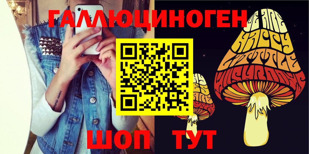 Псилоцибиновые грибы GOLDEN TEACHER  Вход с VPN  Галлюциногенные грибы Magic Shrooms  Гудермес 